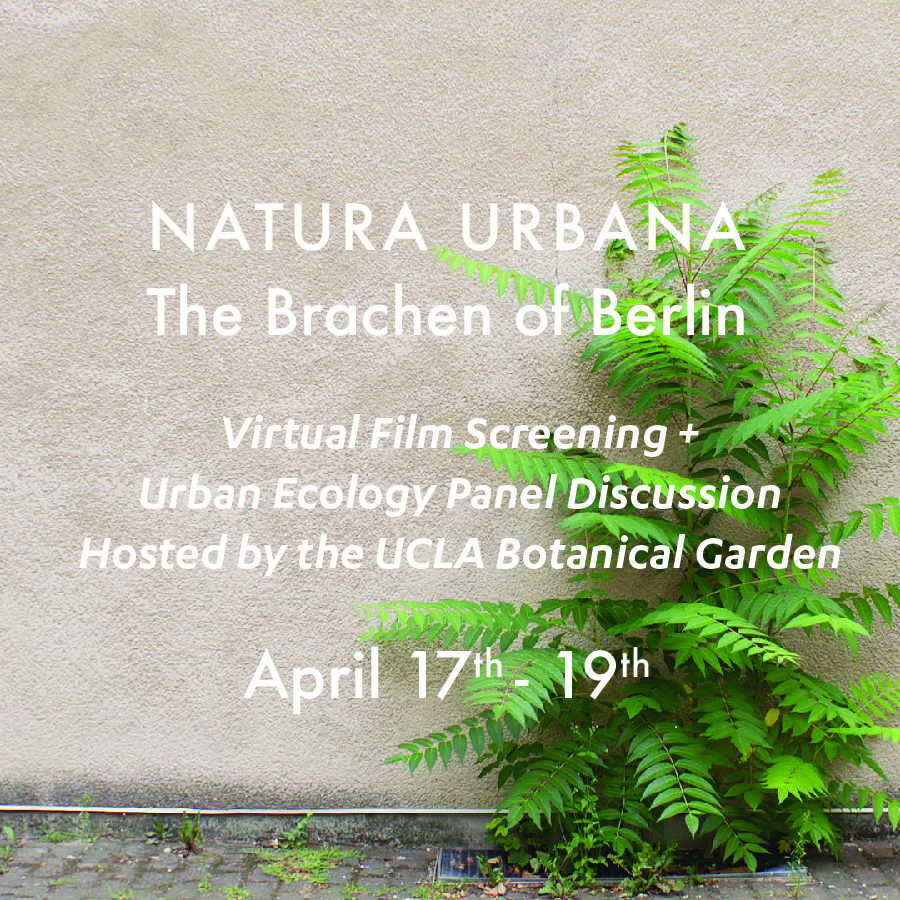 Natura Urbana: The Brachen of Berlin / Online film screening + Urban  ecology panel discussion | Sandra Jasper